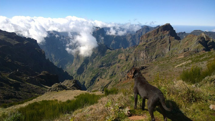 Pico do Arieiro, Madeiran kolmanneksi korkein vuori, 1820 metriä Pico do Arieiro, Madeira